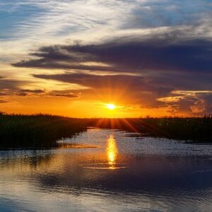 Florida Everglades sunset